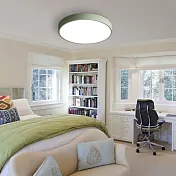 H&R安室家 40cm小圓圓智能LED吸頂燈ZA0206 (附遙控器可調明暗及色溫 ) 灰