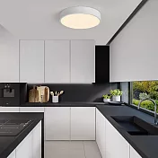 H&R安室家60cm大圓圓智能LED吸頂燈ZA0208 (附遙控器可調明暗及色溫 ) 白色