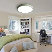 H&R安室家60cm大圓圓智能LED吸頂燈ZA0208 (附遙控器可調明暗及色溫 ) 綠色