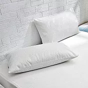 義大利La Belle《時尚典藏》防蹣抗菌透氣防水信封式保潔枕套-2入