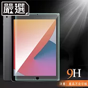 嚴選 全新2021 iPad 9 10.2吋 防刮耐汙鋼化玻璃保護貼