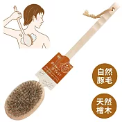 日本製OHE天然豬鬃毛沐浴洗澡刷629051(天然檜木柄;豚毛;長柄)軟毛洗背後刷搓背刷