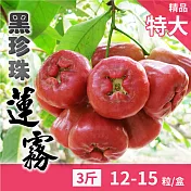預購【家購網嚴選】 屏東枋寮黑珍珠蓮霧 3斤裝 (約12-15粒)/盒 精品特大