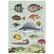 美國 Cavallini & Co. wrap 包裝紙/海報  熱帶魚