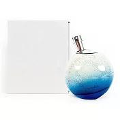 HERMES 愛馬仕 暗夜橘採星光女性淡香精 100ML (Tester環保紙盒版)