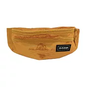 Dakine Classic Hip Pack [8130205-OCE] 腰包 斜背 肩背 橘 24x14x8cm FREE 橘/棕