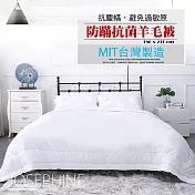 【約瑟芬】防蹣抗菌羊毛被 SB-006