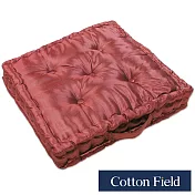 棉花田【晶讚】變色龍絲光立體胖胖坐墊-3色可選(二件組) 紅色