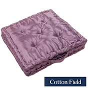 棉花田【晶讚】變色龍絲光立體胖胖坐墊-3色可選(二件組) 紫色