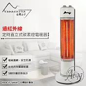 【YAMASHITA 臺灣山下】定時直立式碳素電暖器(YS-901T)