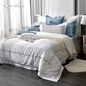 法國CASA BELLE《極線花浪》雙人匹馬棉刺繡防蹣抗菌吸濕排汗兩用被床包組(兩色可選)-白色