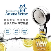 【Aroma Sense】AS-9000 中大型香氛過濾除氯蓮蓬頭花灑 銀色
