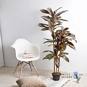 【Meric Garden】北歐風格居家裝飾高仿真大型景觀植栽擺設盆栽_秋紅鐵樹