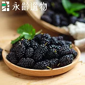 【永齡選物】紫鑽鮮凍桑葚3kg±5%(3包/盒)