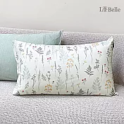 義大利La Belle 超COOL超涼感信封枕套--2入 莎維娜