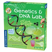 【英國T&K】越玩越聰明STEAM寶盒：德國製造 新版基礎遺傳學 基因和DNA 665007