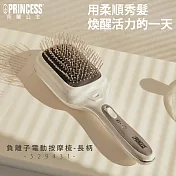【PRINCESS荷蘭公主】負離子電動按摩梳-長柄529431
