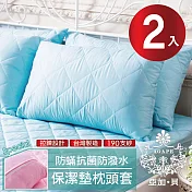【AGAPE 亞加．貝】臺灣製 防潑水防蹣抗菌保潔枕墊 二入 天空藍