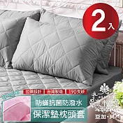 【AGAPE 亞加．貝】台灣製 防潑水防蹣抗菌保潔枕墊 二入 紳士灰