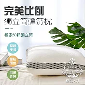 【AGAPE 亞加．貝】高彈柔力鋼獨立筒枕 (獨立筒彈簧彈力透氣給您一夜好眠)