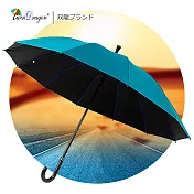 【雙龍牌】大真好黑膠無敵傘 防風防曬自動直立傘晴雨傘A0397 湖水綠