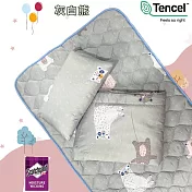DF童趣館 - 台灣製TENCEL天絲兒童涼感舒眠睡墊睡袋三件組 - 多款可選 灰白熊