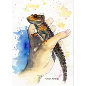 【玲廊滿藝】宮原千佳子（Chika）-紅眼鷹蜥18x13cm