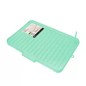 【Lustroware】日本岩崎瀝水盤(附瓶架) 白/綠(原廠總代理) 淺綠色