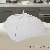 日本進口和風餐桌罩-小-2入組