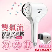 送LED美妝鏡【夏普SHARP】雙氣流智慧吹風機 IB-WX1T 珍珠白