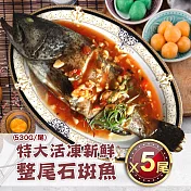 【優鮮配】特大活凍新鮮整尾石斑魚5尾(530g/尾) 免運組