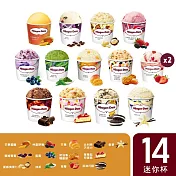 【Haagen-Dazs 哈根達斯】繽紛嘉年華14入組