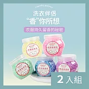 CS22 DSBN蒂斯貝尼衣物持久香氛洗衣芳香顆粒(3瓶/入)-2入 粉色-玫慕傳情*6