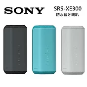 SONY 索尼 可攜式 無線 藍牙喇叭 公司貨 SRS-XE300 黑