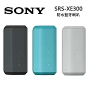 SONY 索尼 可攜式 無線 藍牙喇叭 公司貨 SRS-XE300 藍