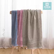 飯店級典雅歐風莫蘭迪色加厚浴巾-70x140cm-1條入