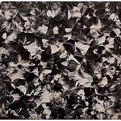 【玲廊滿藝】陳怡蓉 Jenny-北歐10x10cm