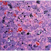 【玲廊滿藝】陳怡蓉 Jenny-錦上添花 系列30x30cm