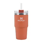 美國STANLEY 冒險系列 吸管隨手杯 0.68L / 橙柚橘