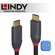 LINDY 林帝 ANTHRA USB 3.2 Gen 2x2 Type-C 公 to 公 傳輸線 + PD 智能電流晶片 0.5m (36900)