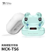 TS6愛芭斯汀真無線藍牙耳機(藍牙5.0 台灣製造) 白色