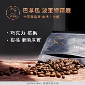 【JC咖啡】巴拿馬 卡莎露易斯 波奎特精選 水洗 咖啡豆1包│中焙-半磅(230g)莊園咖啡 新鮮烘焙