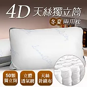 床之戀嚴選 臺灣製4D天絲針織獨立筒冬夏兩用枕