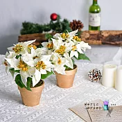 【Meric Garden】高仿真台灣手工限定雪白聖誕紅小盆栽_ 1入/組