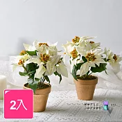 【Meric Garden】高仿真台灣手工限定雪白聖誕紅小盆栽_ 2入/組