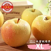 【水果達人】日本水蜜桃TOKI蘋果 XL 10顆 1箱(250g ±10%/顆)