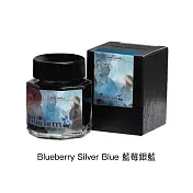 皮爾卡登 Pierre Cardin 水果閃粉系列墨水 - 藍莓銀藍 30ML