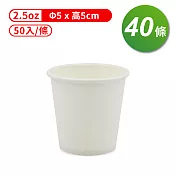 紙杯 (空白杯) (2.5oz) (50入/條) (共40條)