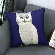 [ Life+ ] 動物派對 棉麻舒適方型抱枕/靠枕_8款任選 紫神秘鷹