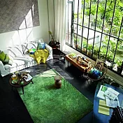 德國Esprit home 綠恆地毯-170x240cm (ESP3307-05)